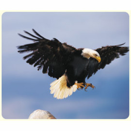 Product: Soft Surface Mouse Pad Square or Round