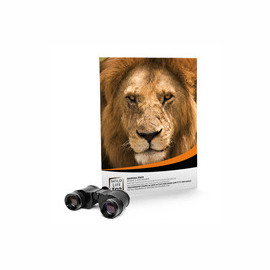 Product: Custom Brochure