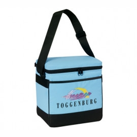 Product: Insulated 12 Pack Cooler