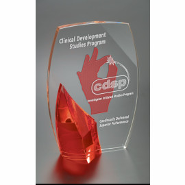Product: Large Randolf Award