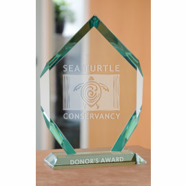 Product: Large Mallory Award