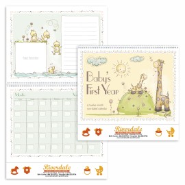Product: Baby's First Year  By Sue Dreamer