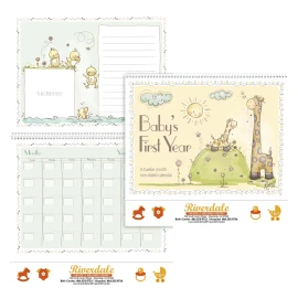 Product: Baby's First Year  By Sue Dreamer