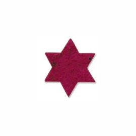 Product: Star of David Plant a Shape Bookmark