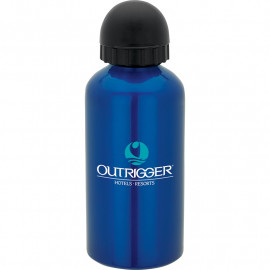 Product: 16.9 oz. Domed Flask 