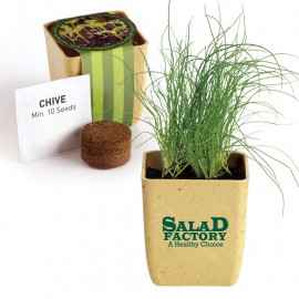 Product: FLOWER POT SET WITH CHIVE SEEDS