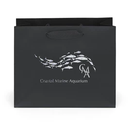 Product: Paris Gift Bag - 10W x 4 x 8H