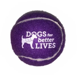 Product: Pet Fetch Toy Tennis Ball