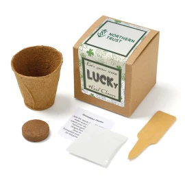 Product: Growables Planter in Kraft Gift Box w/Seeds (Lucky 4 Leaf Clover)