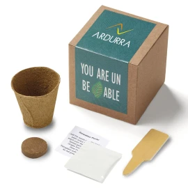 Product: Inspirational Leaf Planter in Kraft Gift Box