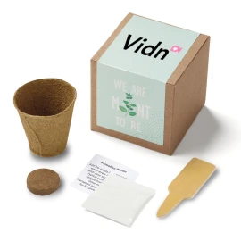 Product: Inspirational Mint to Be Planter in Kraft Gift Box