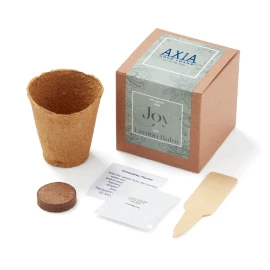 Product: Grow Some Joy Planter In Gift Box