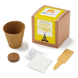 Product: Solar Chakra Growable in Kraft Gift Box