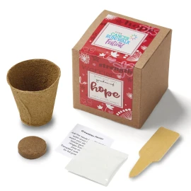 Product: Garden of Hope Planter in Kraft Gift Box (Red)