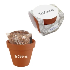 Product: Seed Sensations Terracotta Pot w/Holiday Wrapper