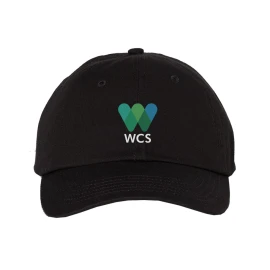 Product: Bio-Washed Chino Twill Cap