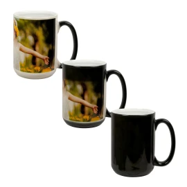 Product: 15 Oz. Color Changing Mug (Black)