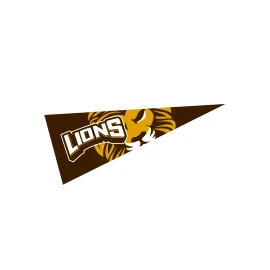 Product: 4" x 10" Pennant
