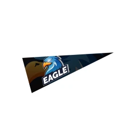 Product: 5" x 12" Pennant