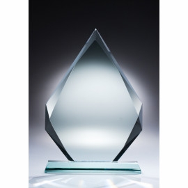 Product: Custom Award