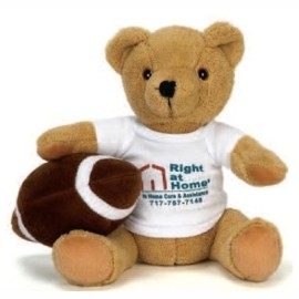 Product: 10" Football Bear Stuffed Animal