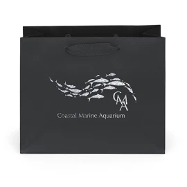 Product: Paris Gift Bag - 10W x 4 x 8H