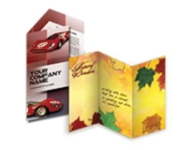 Product: Sell Sheet Flyer/ Brochures (11"x17")