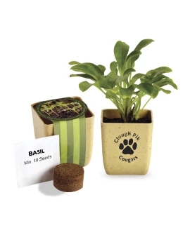 Product: Prime Line Flower Pot Set With Basil Seeds