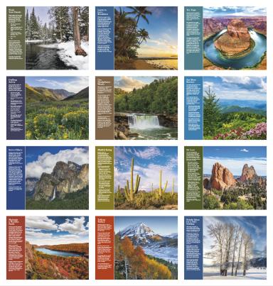 Healthy Living Calendar