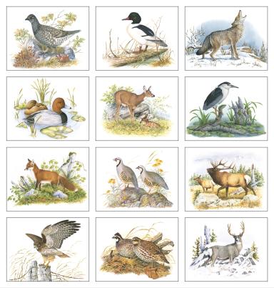 Wildlife Trek Calendar