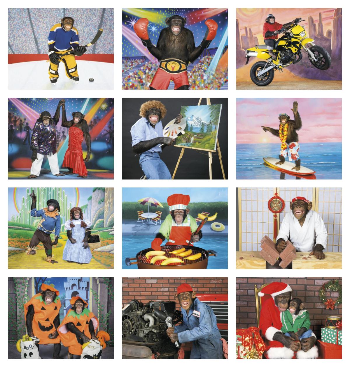 Monkey Mischief Calendar