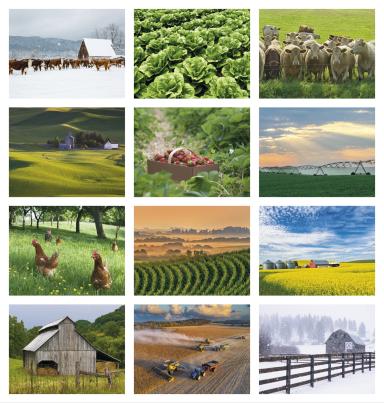 Agriculture Calendar