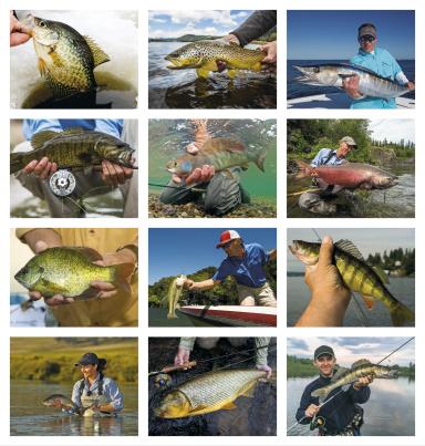 Fishing Guide (Monthly Fishing Activity Forecast)