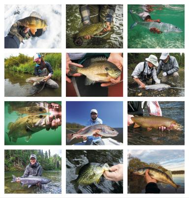 Fishing Guide (Monthly Fishing Activity Forecast)