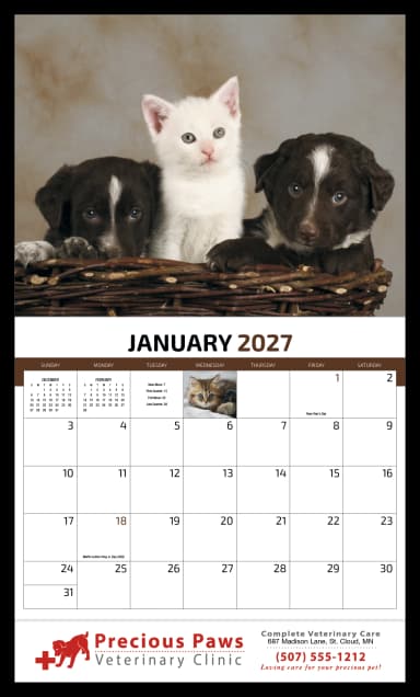 Four Paws Calendar
