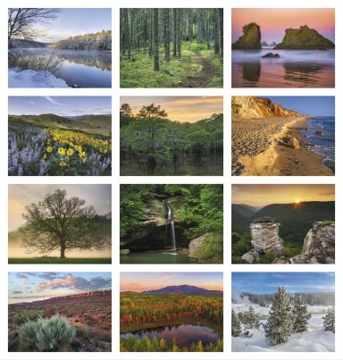 Contemplations Appointment Calendar
