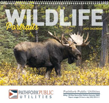 Wildlife Portraits Calendar, Spiral