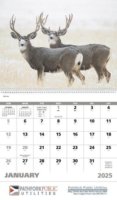 Wildlife Portraits Calendar, Spiral