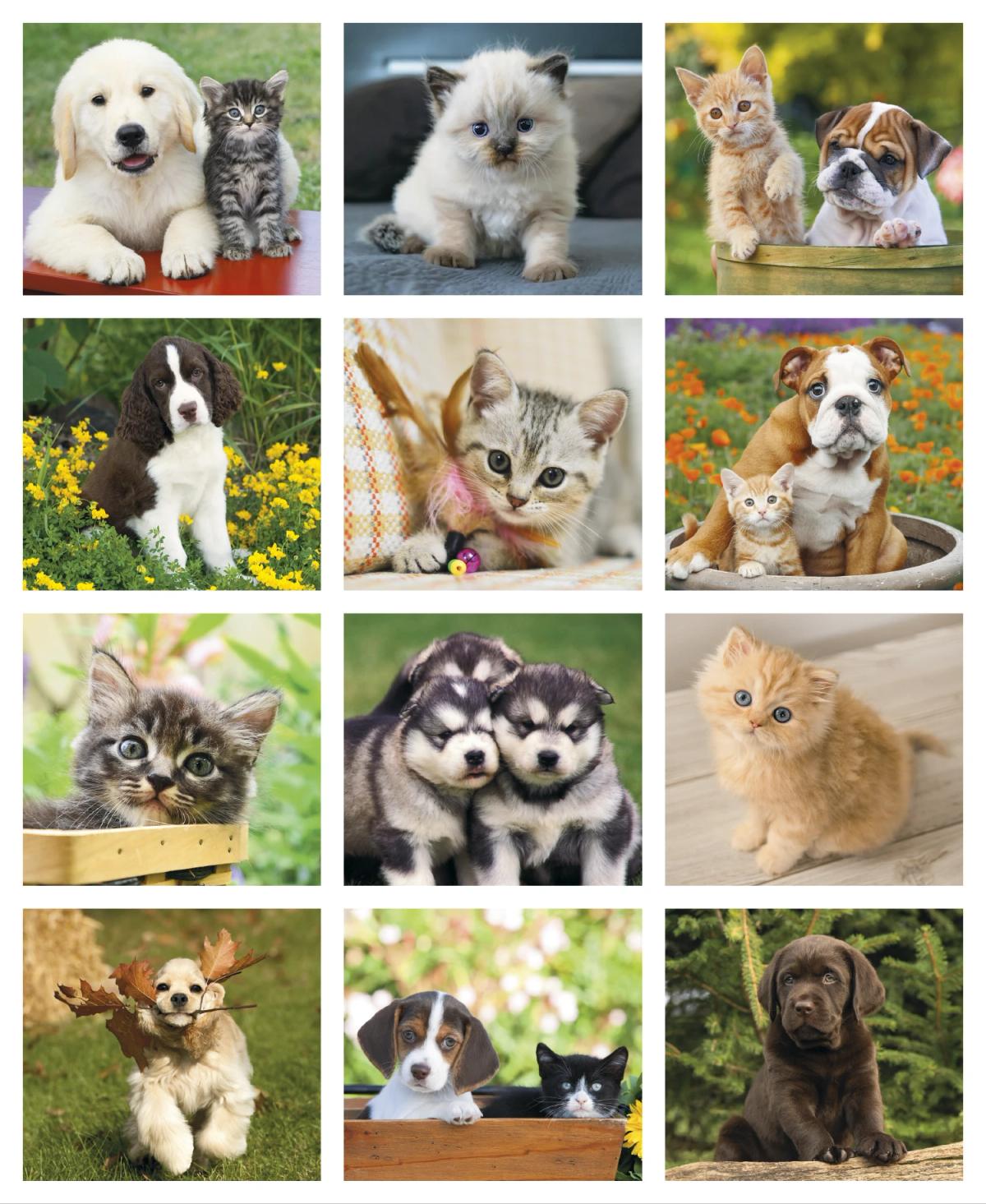 Puppies & Kittens Mini Calendar