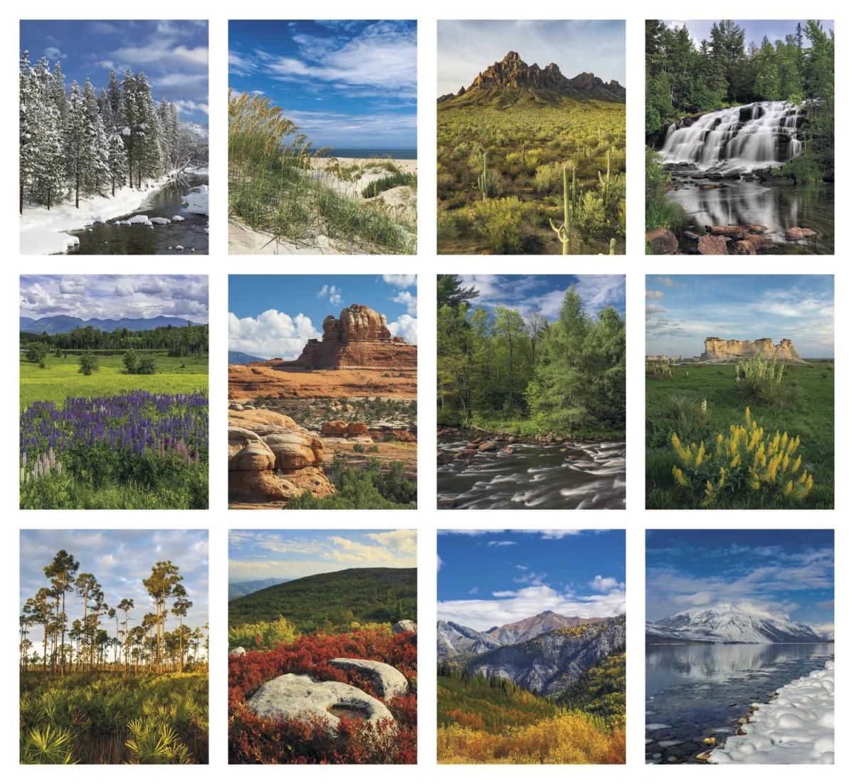 Scenic Vinyl Desk Pad 2025