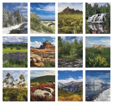 Scenic Vinyl Desk Pad 2025