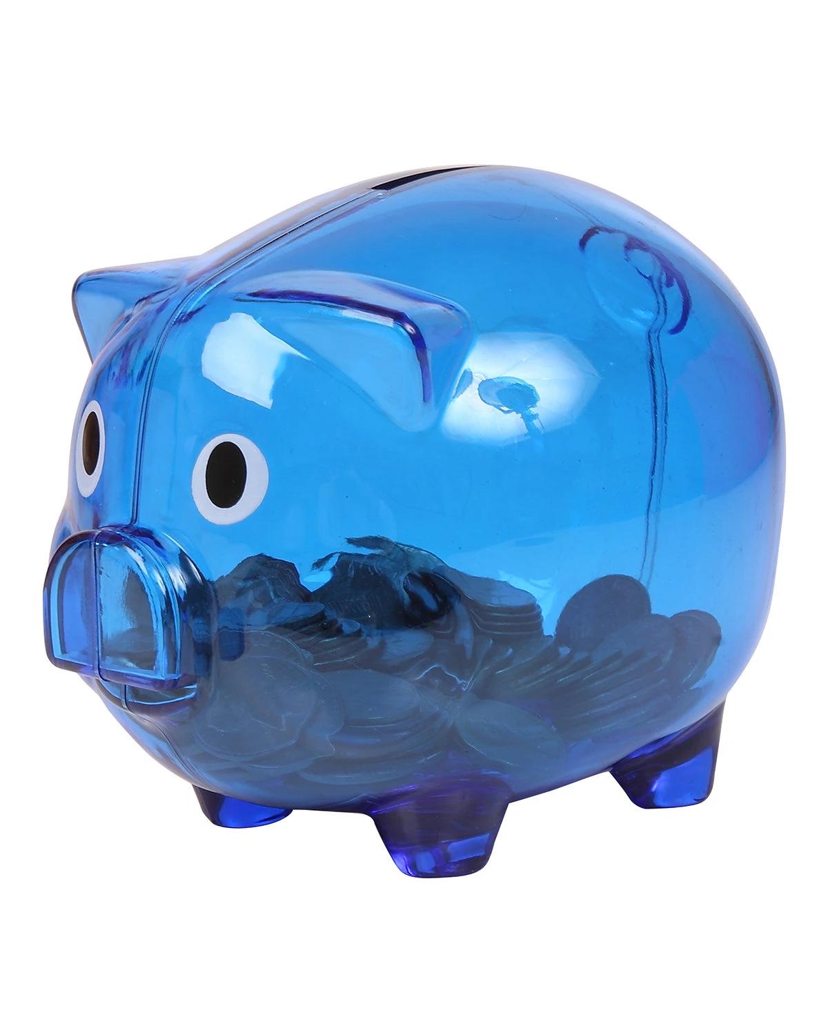 Translucent Piggy Bank