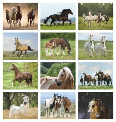 Horses Calendar