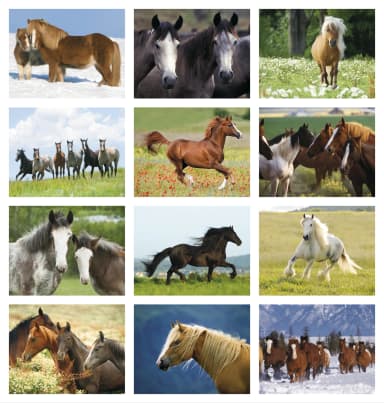 Horses Calendar