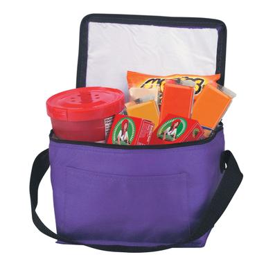 NON-WOVEN SIX PACK COOLER BAG