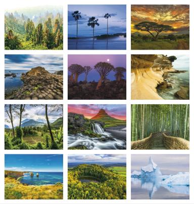 World Scenes