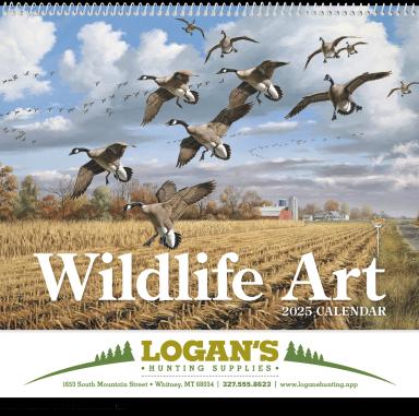 Wildlife Art Calendar