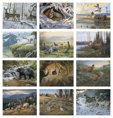 Wildlife Art Calendar