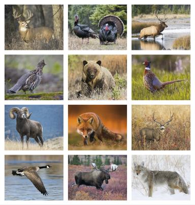 Great Lakes Sportsman Calendar
