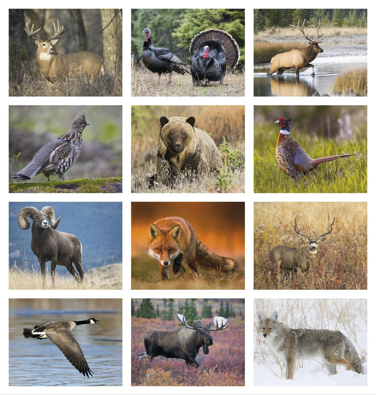 Southcentral Sportsman Calendar